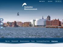 Pinguinnachwuchs am Deutschen Meeresmuseum jetzt zu sehen