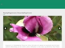 K-L - Rockii Päonien | Pfingstrosen