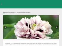 Vermehrung - Rockii Päonien | Pfingstrosen