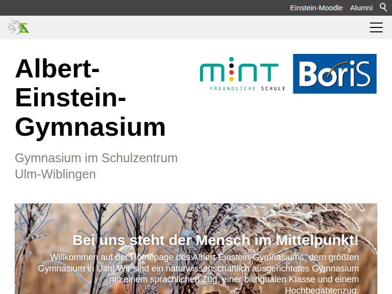 Albert-Einstein-Gymnasium | Dreh am AEG