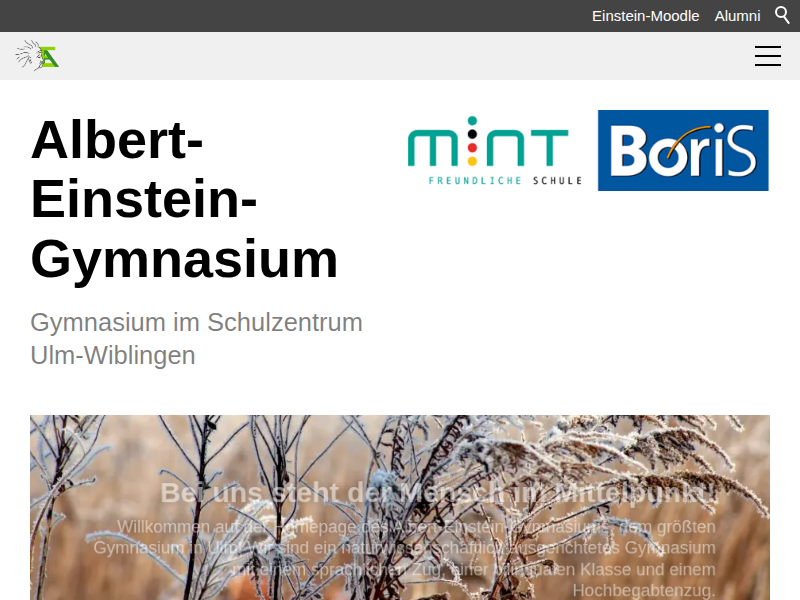 Albert-Einstein-Gymnasium | Einblick in den Klinikalltag der Uniklinik Ulm