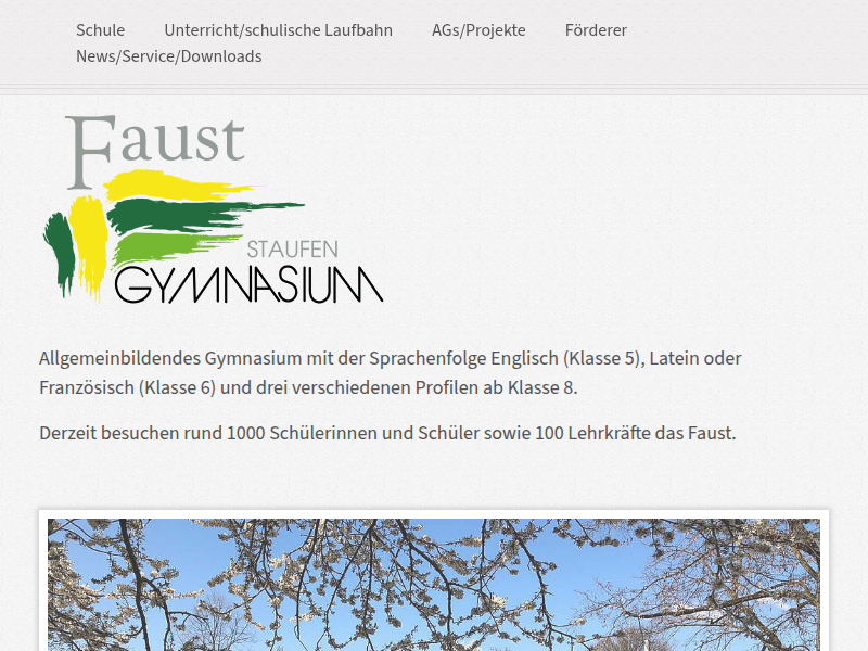Faust-Gymnasium :: a. Sprachliches Profil :: Staufen