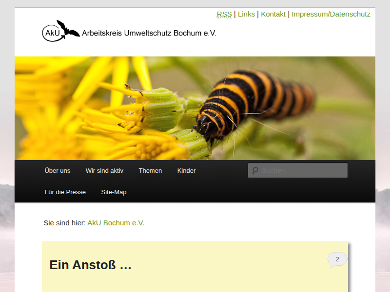 AkU Bochum e.V. | Es blüht richtig schön in unseren Beeten im Wiesental