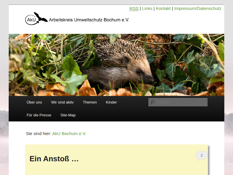 AkU Bochum e.V. | Bilder der AkU-Wildblumenbeete