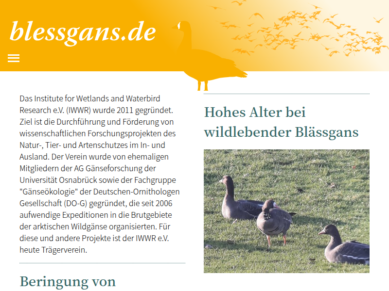 Blessgans.de: Video