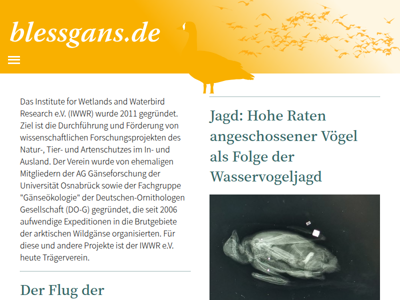 Blessgans.de: World Curlew Day 2026