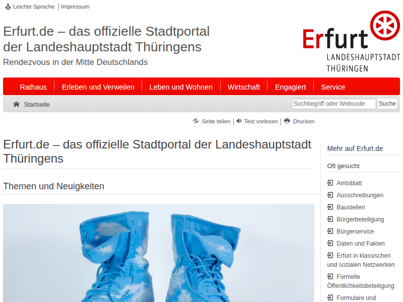 Baumschutz in der Stadt Erfurt | Erfurt.de