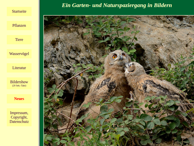 Gartenimpressionen