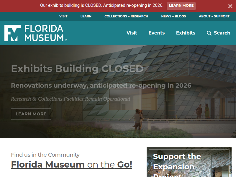 Cownose Ray – Discover Fishes