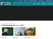 Andrei Sourakov | Lepidoptera Collections Coordinator – Florida Museum of Natural History