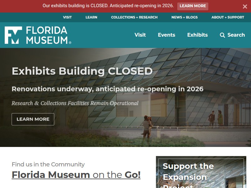 Sweetgrass Basket with Doll Lid – Rare, Beautiful & Fascinating: 100 Years @FloridaMuseum