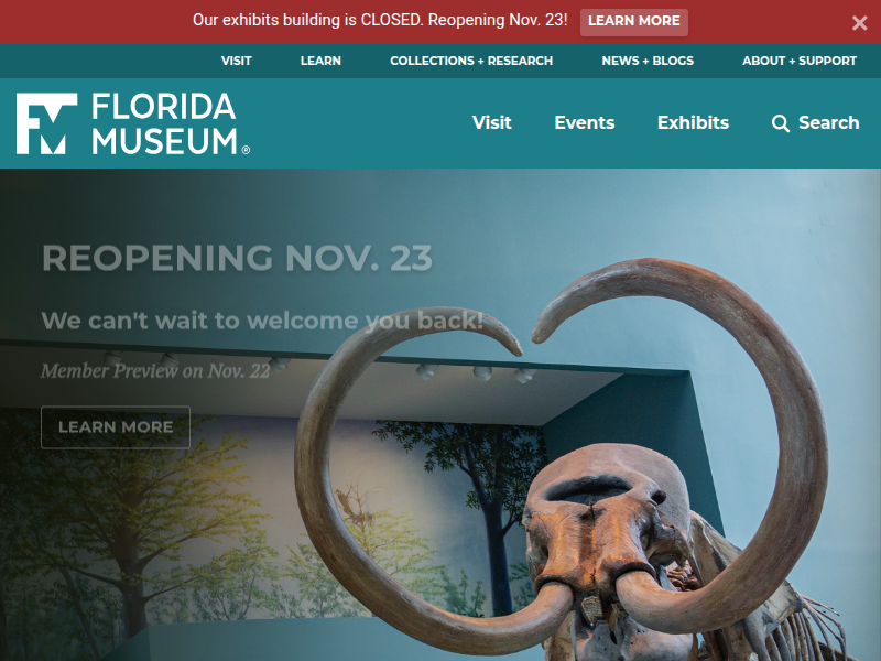 Honduras Collection – Latin American Archaeology + Ethnography