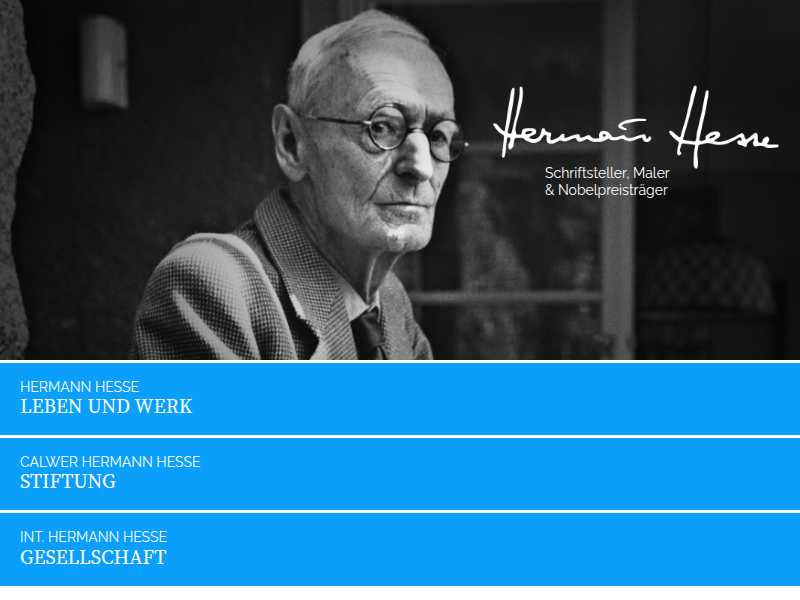 Von der Therapie zur Leidenschaft / Hermann Hesse