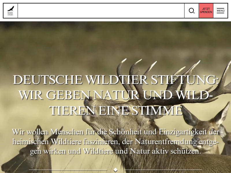 Wildtier Forum Berlin | Deutsche Wildtier Stiftung