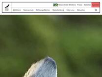 Spenden | Deutsche Wildtier Stiftung