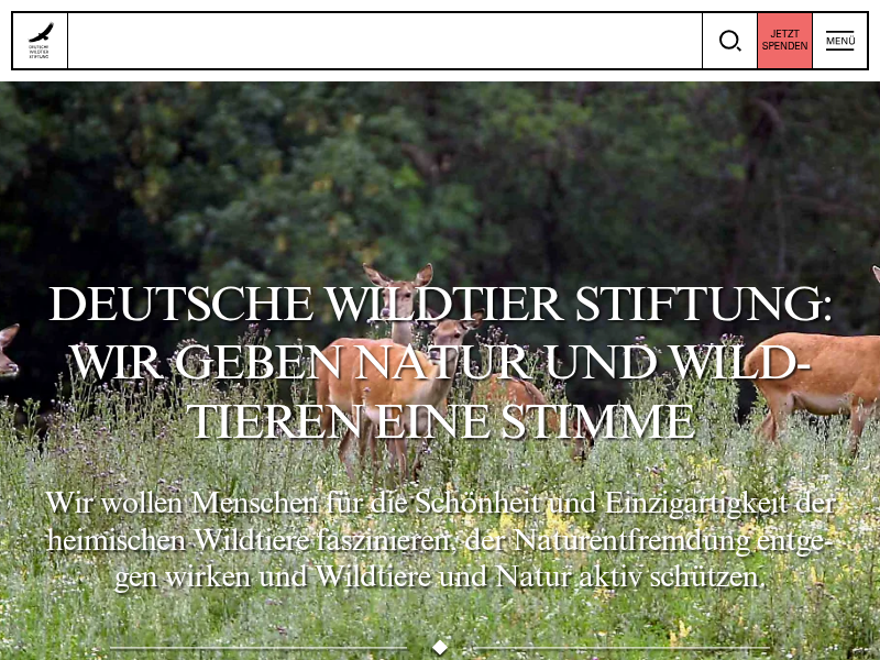 Rettet das Rebhuhn | Deutsche Wildtier Stiftung