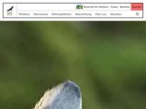 Spenden | Deutsche Wildtier Stiftung