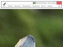 Sträucher für Kinder in der Waldpädagogik | Deutsche Wildtier Stiftung