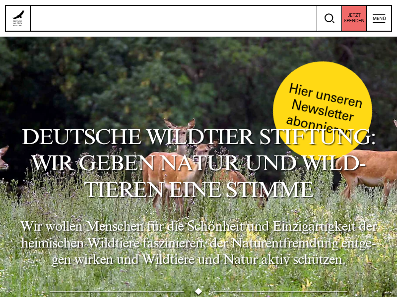Todesfalle Mähroboter | Deutsche Wildtier Stiftung
