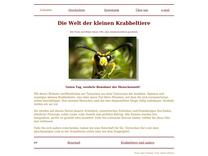 Insekten: Nachmieter des Kleinen Pappelbocks (Saperda populnea) - Rote Knotenameise