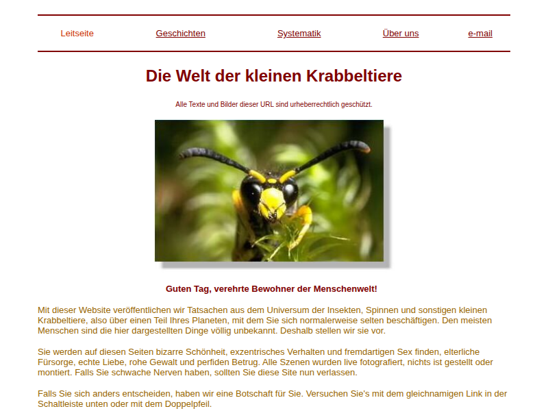 Insekten: Der Mimiky-Kreis der Wespe - Vespa crabro