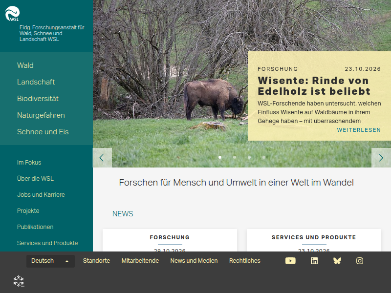 3D-Modell einer Riesenkastanie