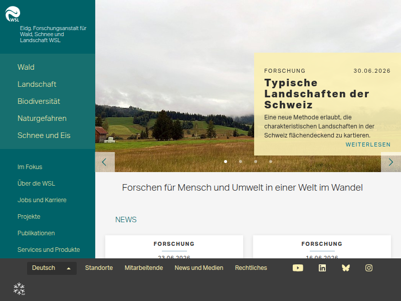 Monokotyledonen - Datenbank anatomischer Bilder