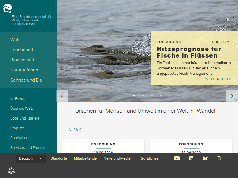 Nach Sturmschäden verlieren Waldböden viel Kohlenstoff