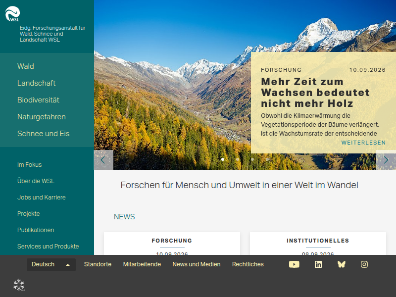 Die Verhüllende Korallenflechte