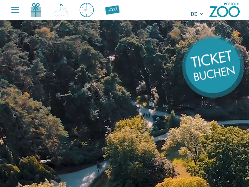 Zwergflusspferdmädchen Taya lebt jetzt in Krakau