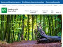 Phocoena phocoena | BFN