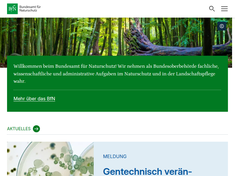 Ein- und Ausfuhr von Holz & Holzprodukten | Cites