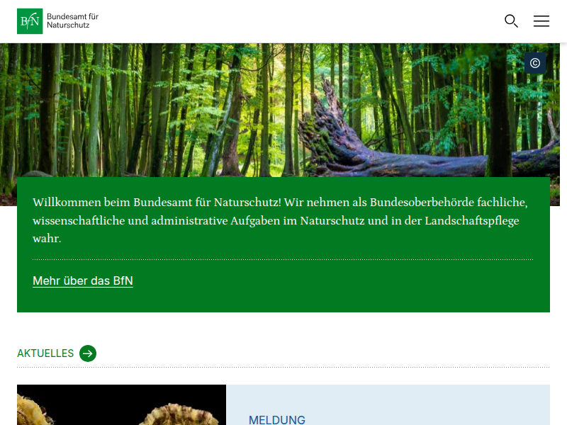Oberpfälzer Wald | BFN