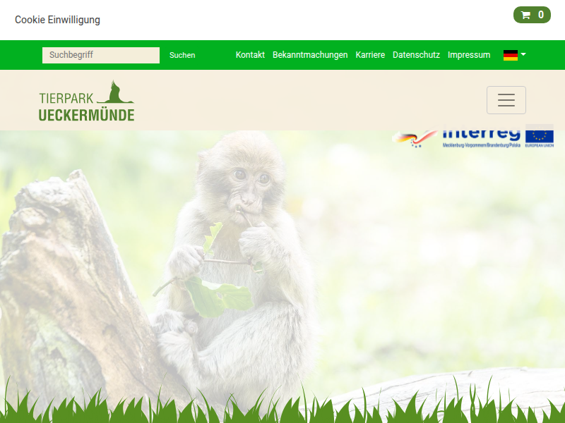 Natur hautnah Treffpunkt Wildbienen - Plattform mit Hochb | Tierpark Ueckermünde ὂ2ὂFὂA