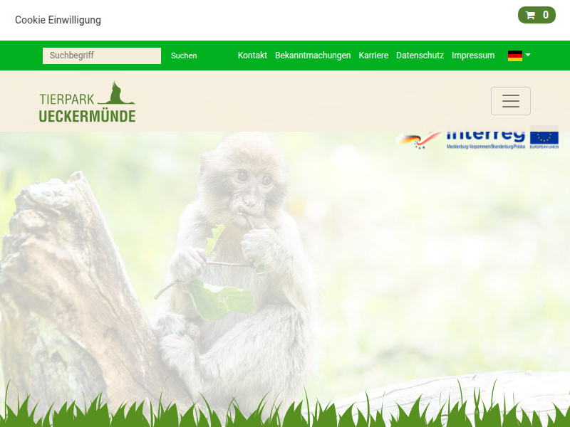Natur hautnah Treffpunkt Wildbienen - Plattform mit Hochb | Tierpark Ueckermünde ὂ2ὂFὂA