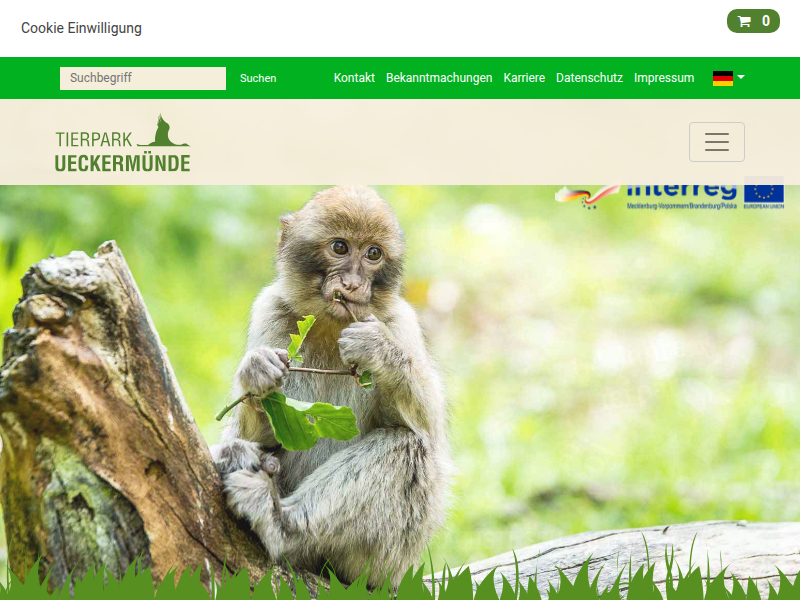 Natur hautnah Treffpunkt Wildbienen - Plattform mit Hochb | Tierpark Ueckermünde ὂ2ὂFὂA