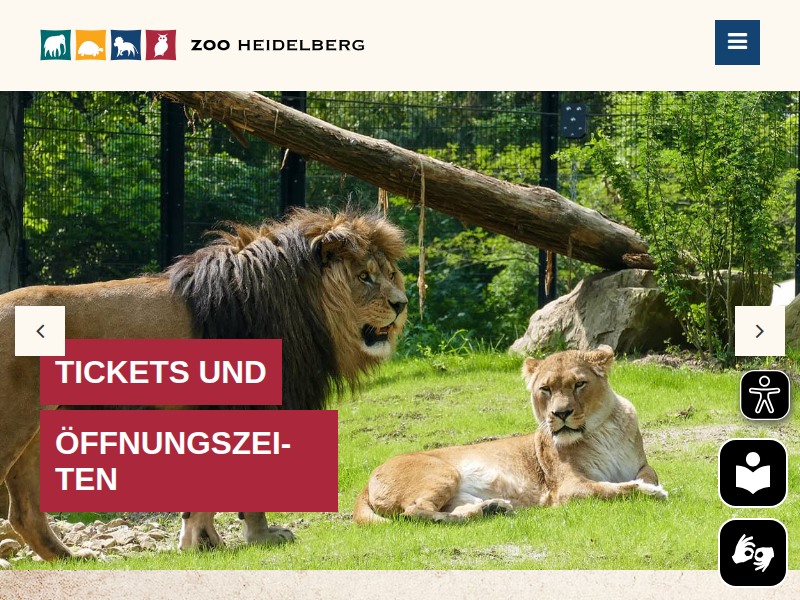 Nachwuchs bei den Präriehunden