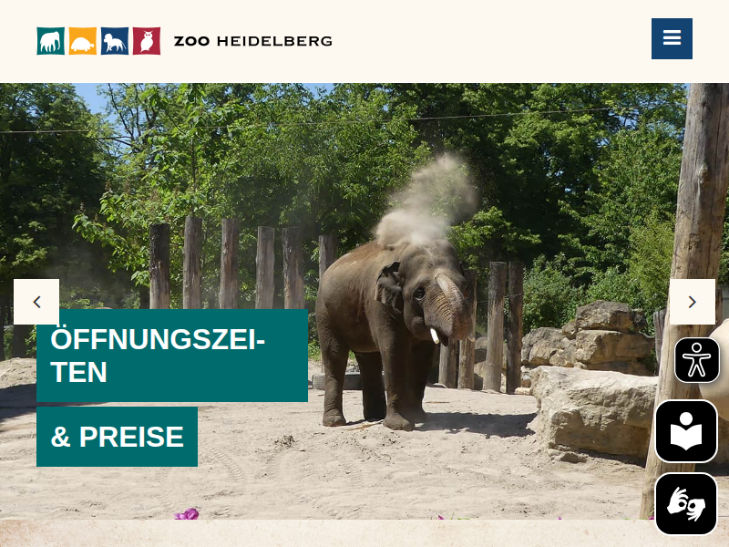 Gorilla Zsa Zsa gestorben