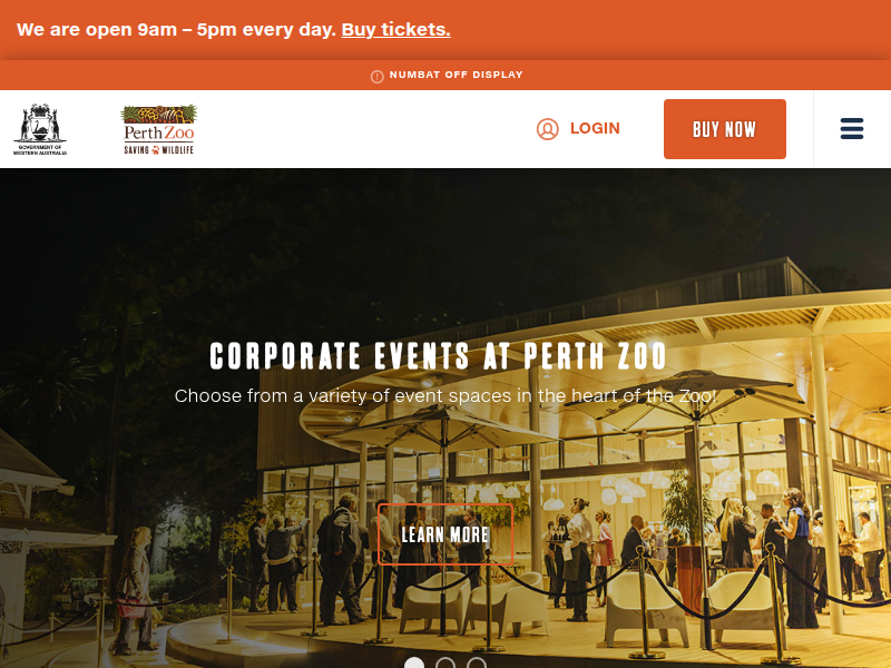 Tawny Frogmouth | Perth Zoo