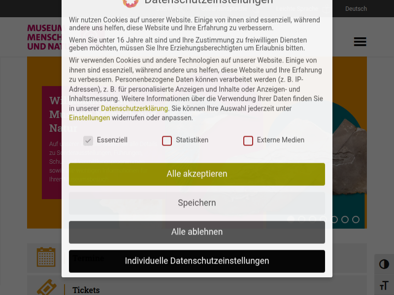 Bunte Welt der Minerale I Museum Mensch und Natur