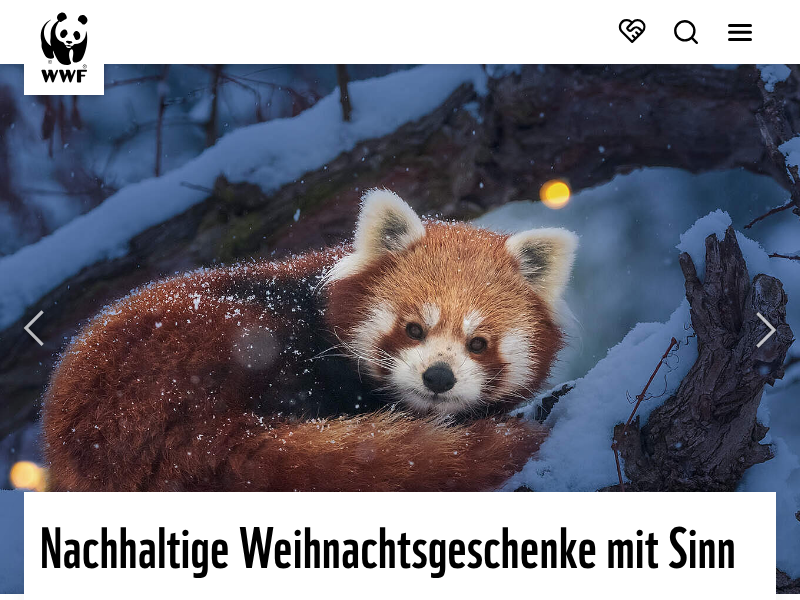 Den Bären in Augmented Reality erleben