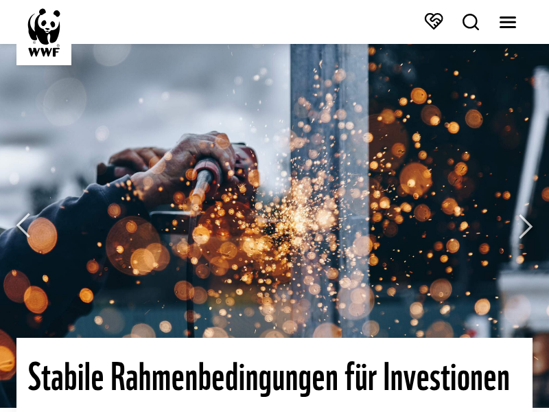 Den Wisent in Augmented Reality erleben