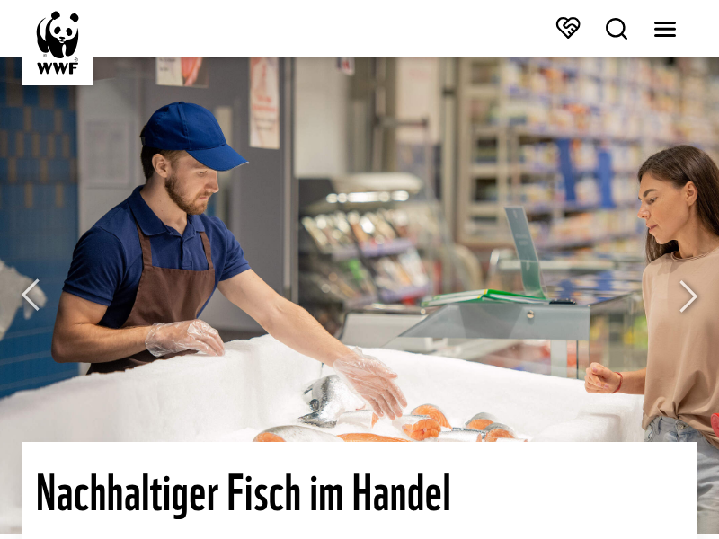 Den Wisent in Augmented Reality erleben
