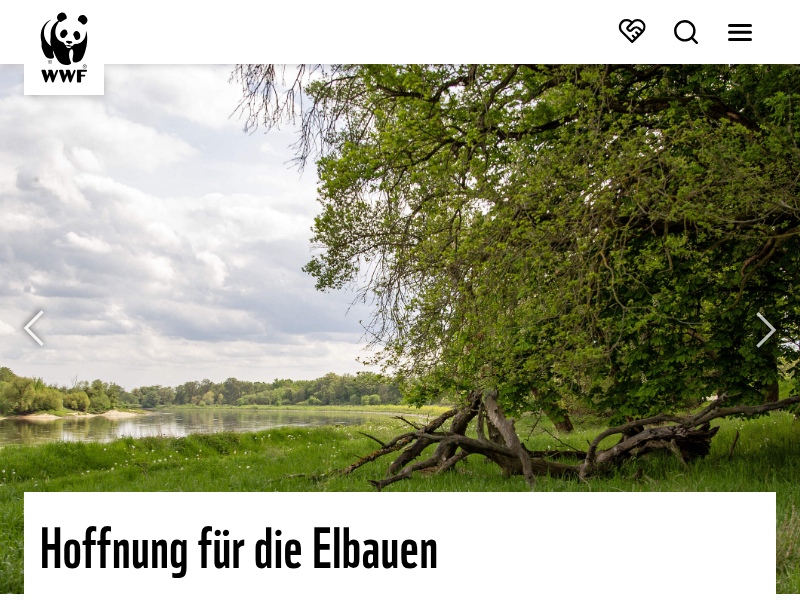 Angebote für Kinder, Jugendliche und Familien