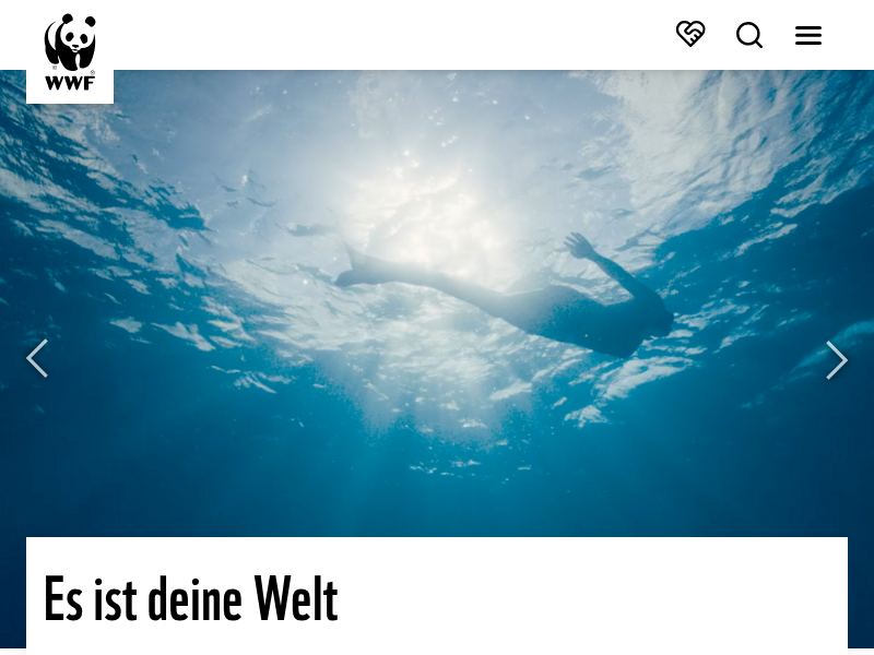 Kinder und Jugendliche helfen