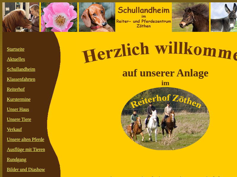 Pferde Obelix - Reiterhof Zöthen im Schullandheim im Reiter- und Pferdezentrum Zöthen