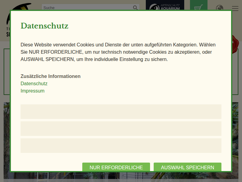 Veilchenorganist – Tiergarten Schönbrunn