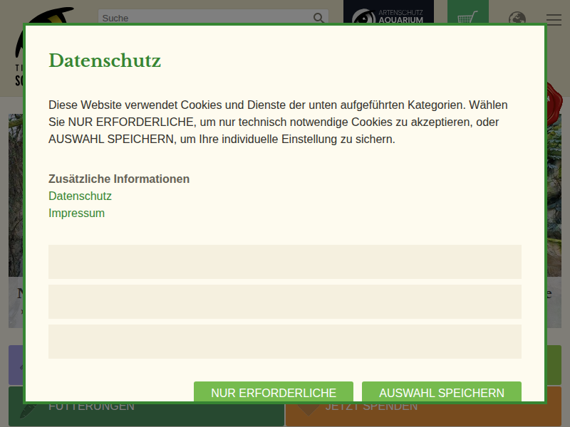 Unsere Geparde werden belauscht – Tiergarten Schönbrunn