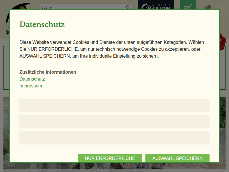 Nasenbären-Nachwuchs in neuer Anlage – Tiergarten Schönbrunn