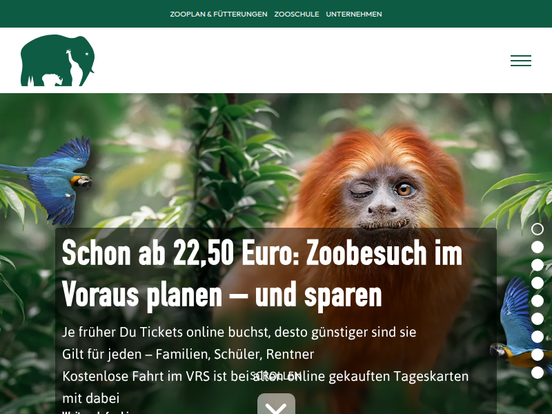Kölner Zoo - „Zohan“, „Prija“ und „Reeva“: Kölner Zoo stellt Jungtiere bei den Asiatischen Löwen vor